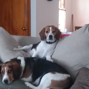 Meet your Posher, Julie